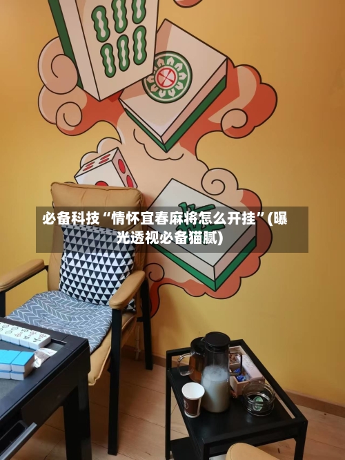 必备科技“情怀宜春麻将怎么开挂	”(曝光透视必备猫腻)-第2张图片