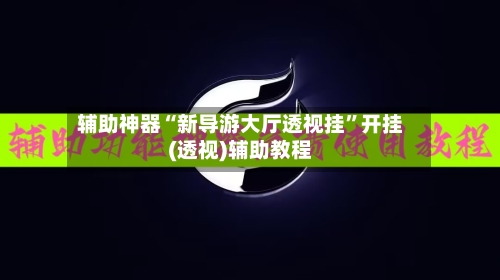 辅助神器“新导游大厅透视挂”开挂(透视)辅助教程-第2张图片