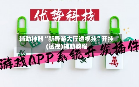 辅助神器“新导游大厅透视挂”开挂(透视)辅助教程-第3张图片