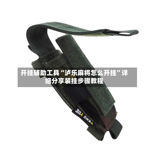 开挂辅助工具“泸乐麻将怎么开挂	”详细分享装挂步骤教程-第2张图片