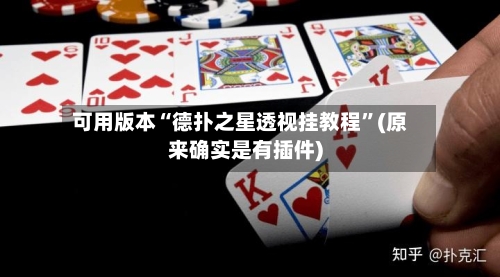 可用版本“德扑之星透视挂教程”(原来确实是有插件)-第2张图片
