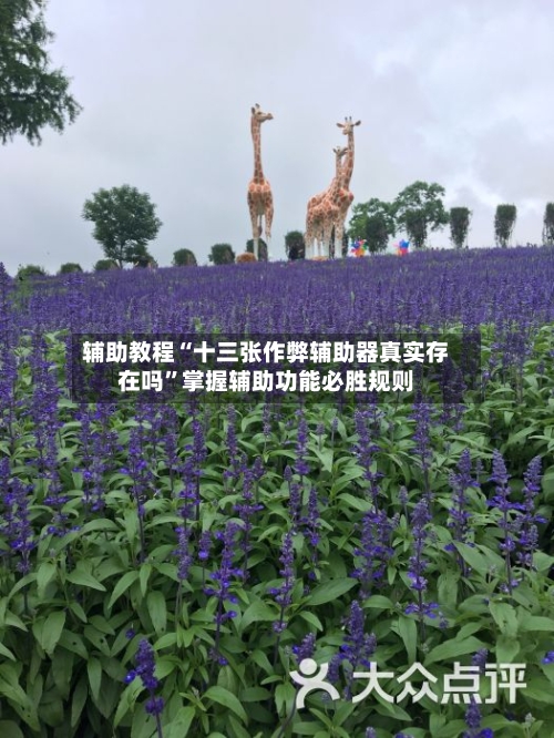 辅助教程“十三张作弊辅助器真实存在吗”掌握辅助功能必胜规则-第2张图片