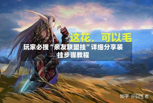 玩家必搜“亲友联盟挂”详细分享装挂步骤教程-第2张图片