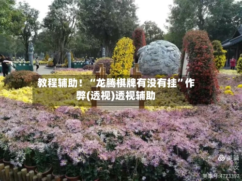 教程辅助！“龙腾棋牌有没有挂”作弊(透视)透视辅助-第3张图片