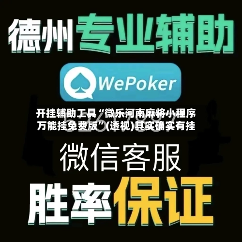 开挂辅助工具“微乐河南麻将小程序万能挂免费版	”(透视)其实确实有挂-第3张图片