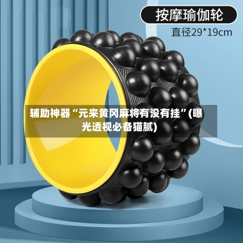 辅助神器“元来黄冈麻将有没有挂”(曝光透视必备猫腻)-第3张图片