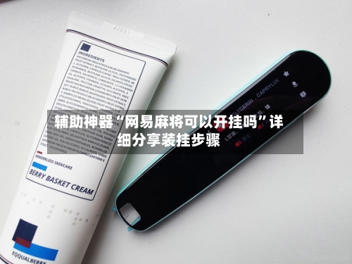 辅助神器“网易麻将可以开挂吗”详细分享装挂步骤-第3张图片