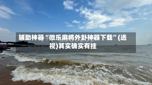 辅助神器“微乐麻将外卦神器下载”(透视)其实确实有挂-第3张图片