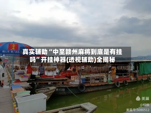 真实辅助“中至赣州麻将到底是有挂吗”开挂神器{透视辅助}全揭秘-第3张图片