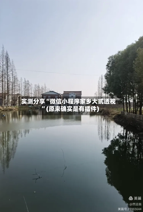 实测分享“微信小程序家乡大贰透视”(原来确实是有插件)-第3张图片