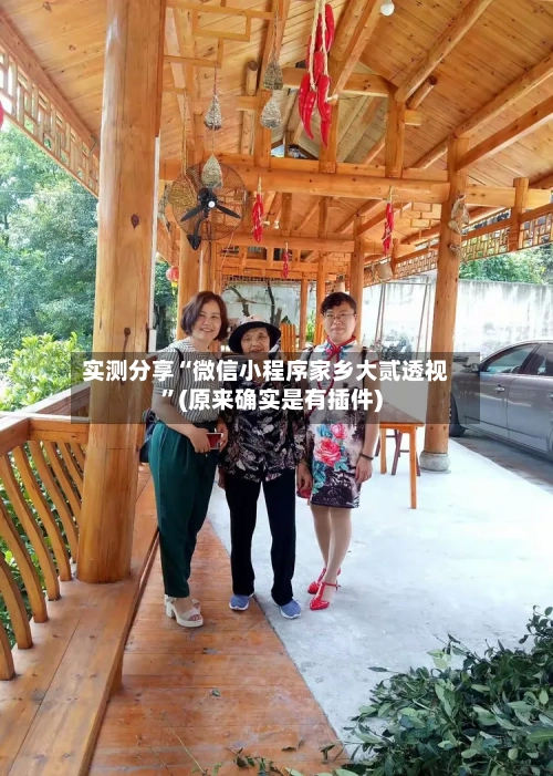 实测分享“微信小程序家乡大贰透视”(原来确实是有插件)-第2张图片