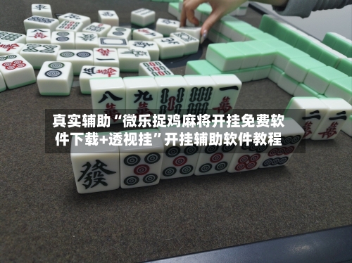 真实辅助“微乐捉鸡麻将开挂免费软件下载+透视挂	”开挂辅助软件教程-第3张图片