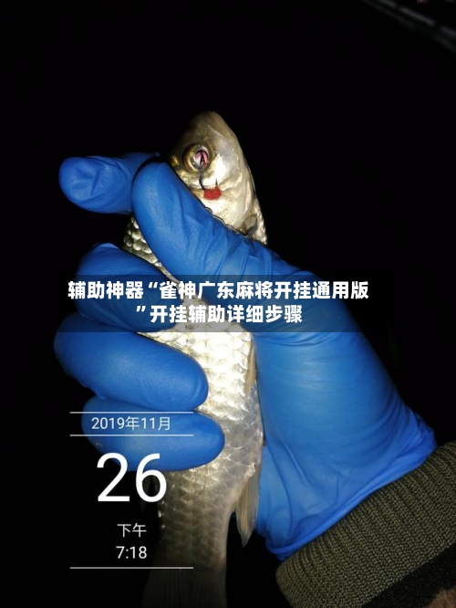 辅助神器“雀神广东麻将开挂通用版”开挂辅助详细步骤-第2张图片