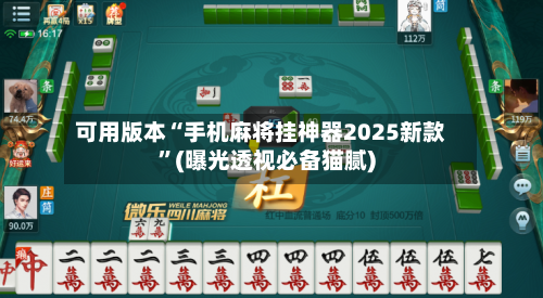 可用版本“手机麻将挂神器2025新款”(曝光透视必备猫腻)-第3张图片