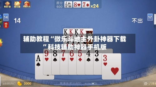 辅助教程“微乐斗地主外卦神器下载”科技辅助神器手机版-第3张图片