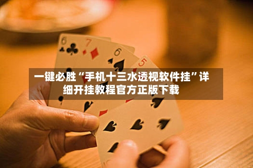 一键必胜“手机十三水透视软件挂	”详细开挂教程官方正版下载-第2张图片
