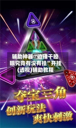 辅助神器“边锋干瞪眼究竟有没有挂”开挂(透视)辅助教程-第2张图片