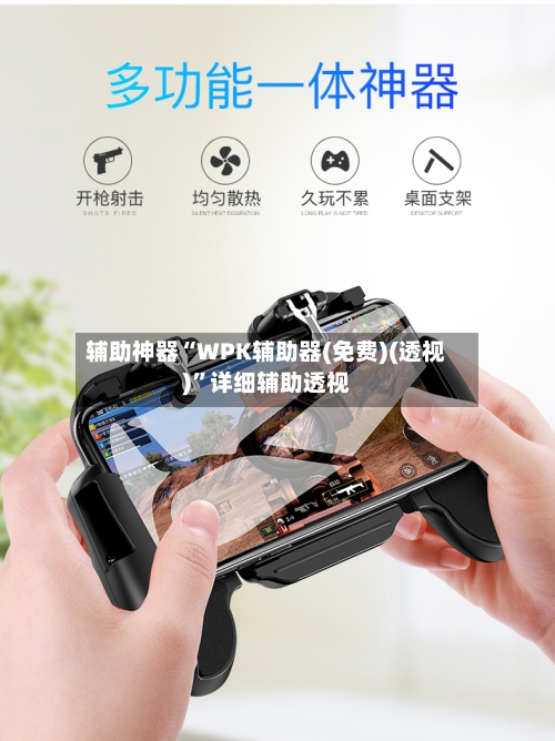 辅助神器“WPK辅助器(免费)(透视)	”详细辅助透视-第2张图片