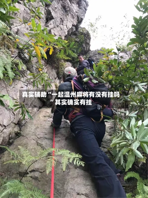 真实辅助“一起温州麻将有没有挂吗”其实确实有挂-第3张图片