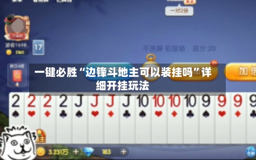 一键必胜“边锋斗地主可以装挂吗”详细开挂玩法-第2张图片