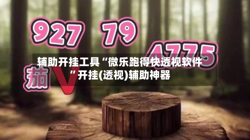 辅助开挂工具“微乐跑得快透视软件”开挂(透视)辅助神器-第2张图片