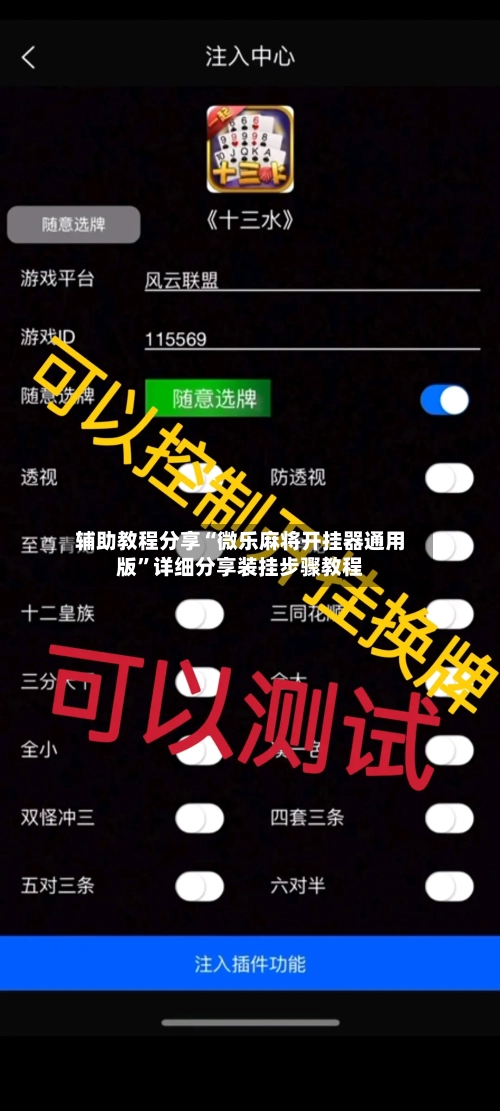辅助教程分享“微乐麻将开挂器通用版	”详细分享装挂步骤教程-第2张图片