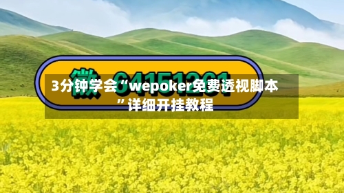 3分钟学会“wepoker免费透视脚本	”详细开挂教程-第2张图片
