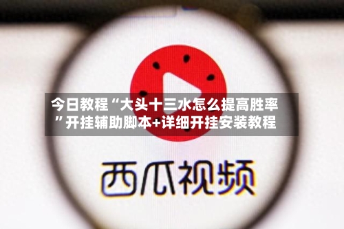 今日教程“大头十三水怎么提高胜率	”开挂辅助脚本+详细开挂安装教程-第2张图片