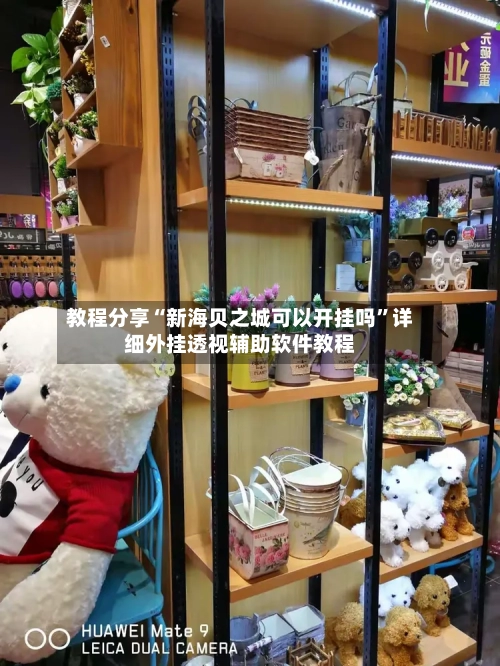 教程分享“新海贝之城可以开挂吗	”详细外挂透视辅助软件教程-第2张图片
