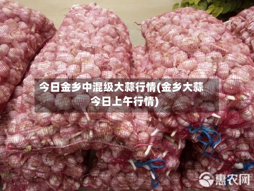 今日金乡中混级大蒜行情(金乡大蒜今日上午行情)-第3张图片