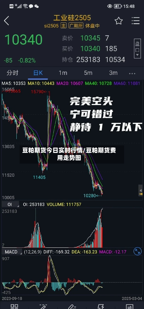 豆粕期货今日实时行情/豆粕期货费用走势图-第3张图片