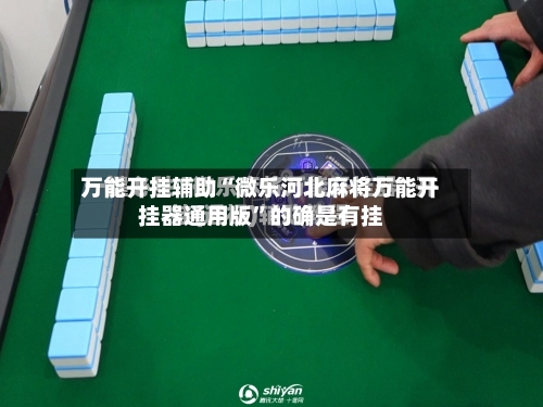 万能开挂辅助“微乐河北麻将万能开挂器通用版”的确是有挂-第2张图片