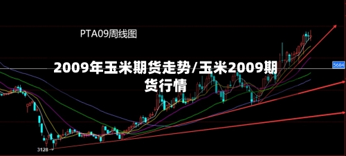 2009年玉米期货走势/玉米2009期货行情-第2张图片