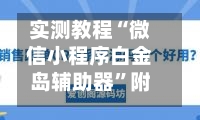 实测教程“微信小程序白金岛辅助器”附开挂脚本详细步骤-第2张图片