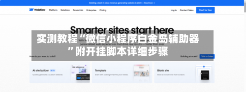 实测教程“微信小程序白金岛辅助器	”附开挂脚本详细步骤-第3张图片