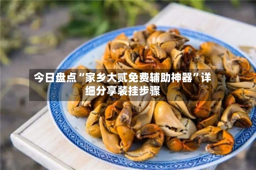 今日盘点“家乡大贰免费辅助神器”详细分享装挂步骤-第3张图片