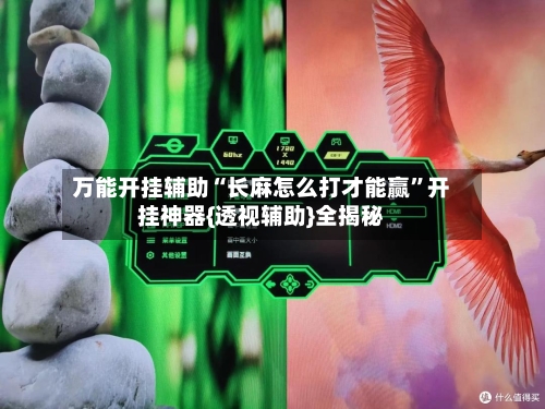 万能开挂辅助“长麻怎么打才能赢”开挂神器{透视辅助}全揭秘-第3张图片