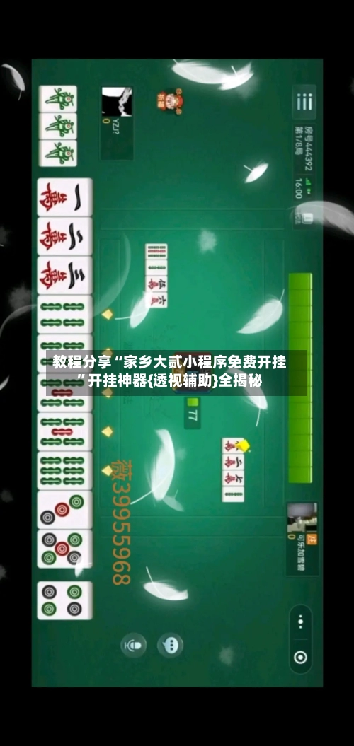 教程分享“家乡大贰小程序免费开挂”开挂神器{透视辅助}全揭秘-第2张图片