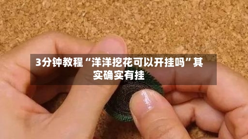 3分钟教程“洋洋挖花可以开挂吗	”其实确实有挂-第2张图片