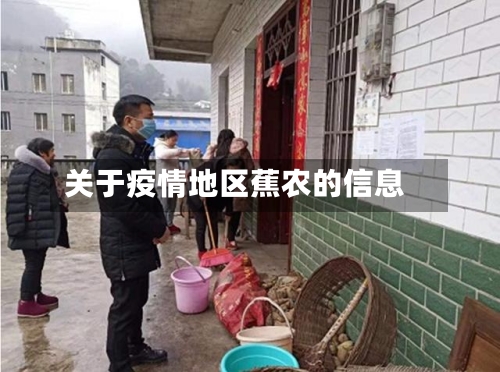 关于疫情地区蕉农的信息-第3张图片