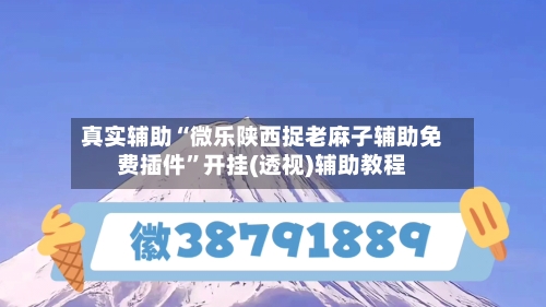 真实辅助“微乐陕西捉老麻子辅助免费插件”开挂(透视)辅助教程-第2张图片