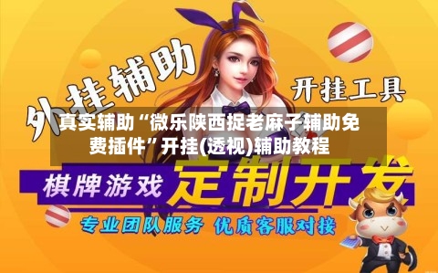 真实辅助“微乐陕西捉老麻子辅助免费插件”开挂(透视)辅助教程-第3张图片