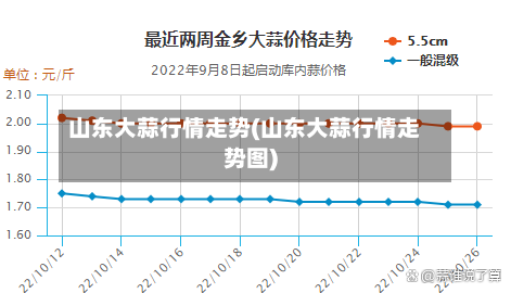 山东大蒜行情走势(山东大蒜行情走势图)