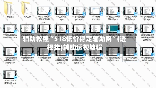 辅助教程“518低价稳定辅助网”(透视挂)辅助透视教程-第2张图片
