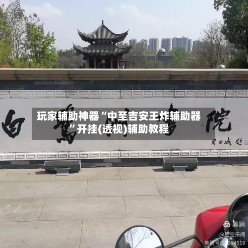 玩家辅助神器“中至吉安王炸辅助器”开挂(透视)辅助教程-第2张图片