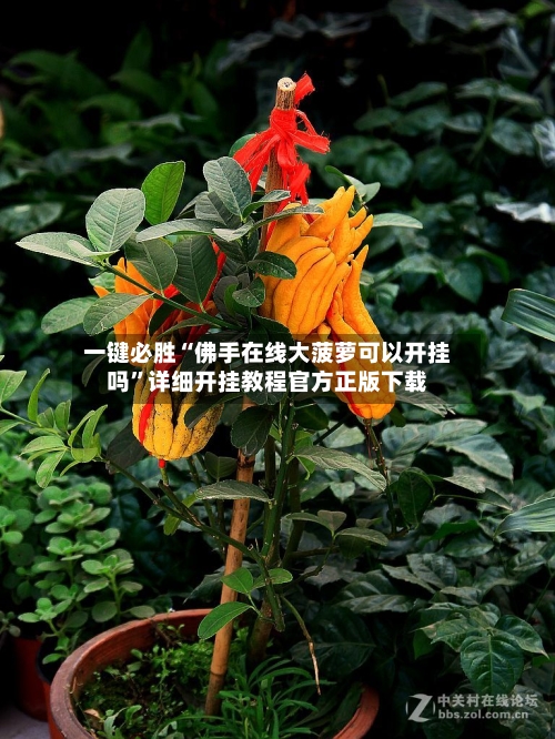 一键必胜“佛手在线大菠萝可以开挂吗”详细开挂教程官方正版下载-第2张图片
