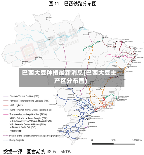 巴西大豆种植最新消息(巴西大豆主产区分布图)