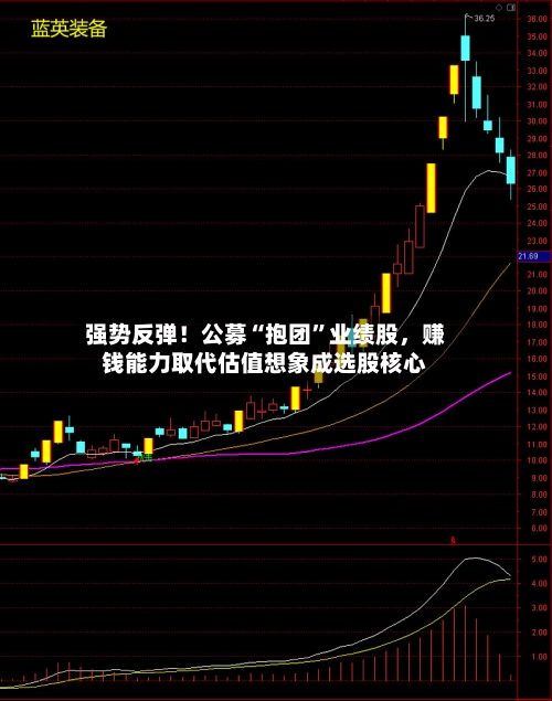 强势反弹！公募“抱团”业绩股，赚钱能力取代估值想象成选股核心-第3张图片