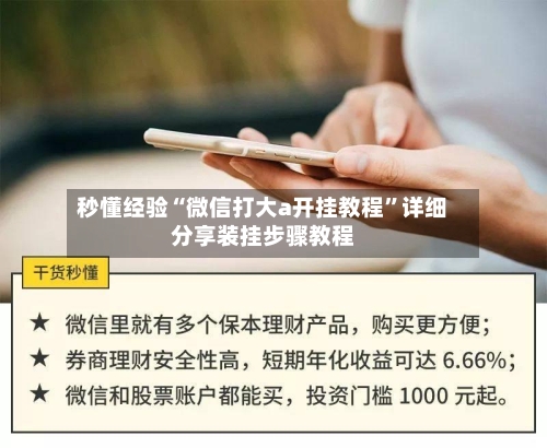 秒懂经验“微信打大a开挂教程”详细分享装挂步骤教程-第2张图片