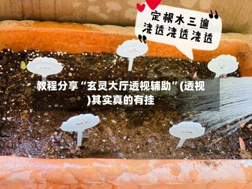 教程分享“玄灵大厅透视辅助”(透视)其实真的有挂-第2张图片